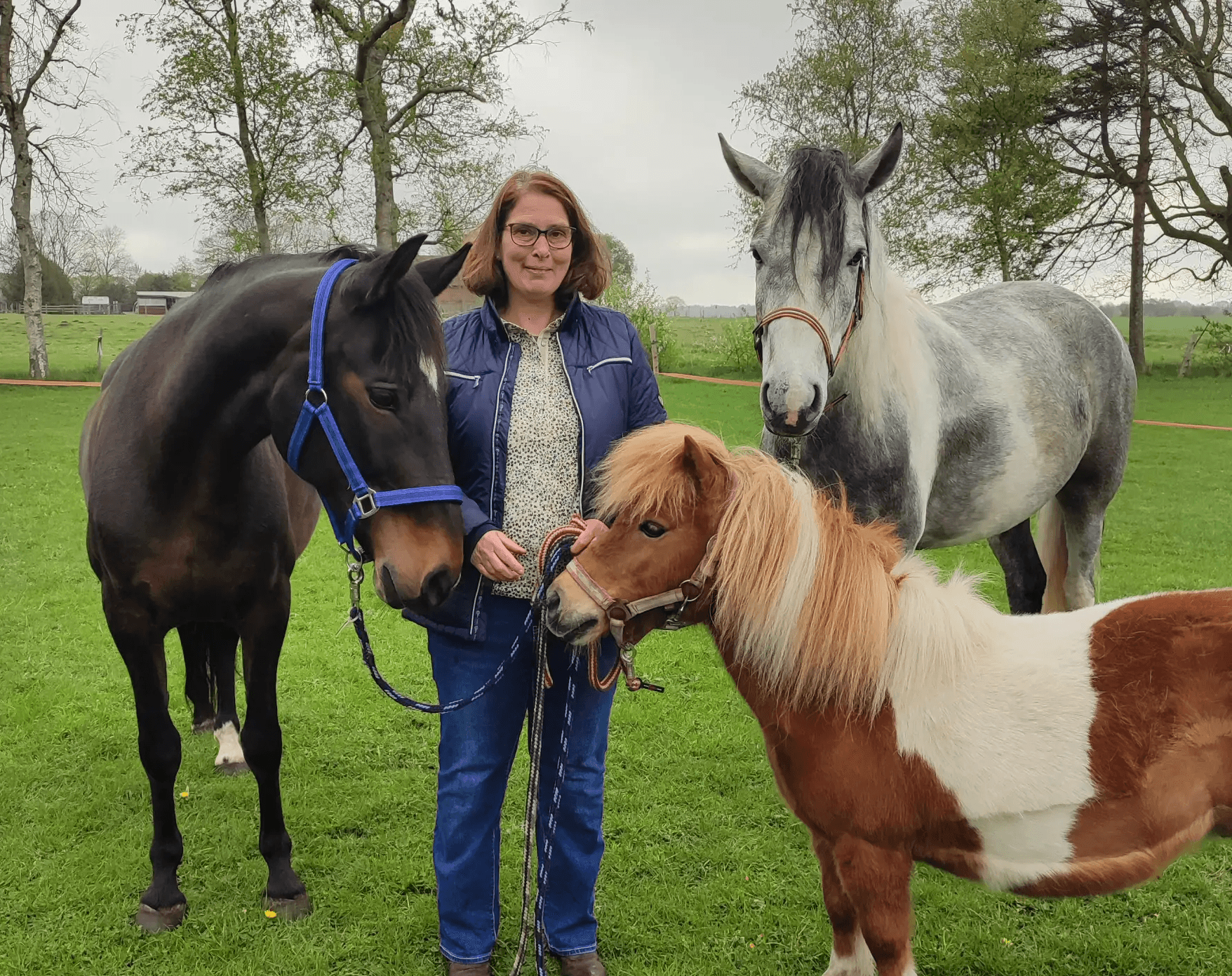 Simone van Putten mit der Stute Salsa, dem Wallach Jet und der Shetty-Stute Cindy in Aurich Brockzetel