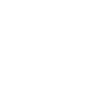 stealth icon