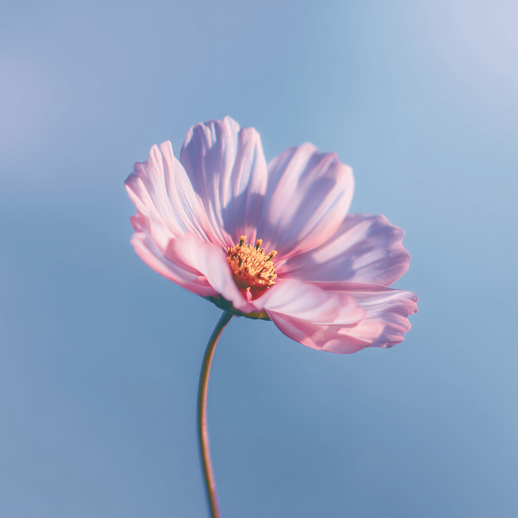 Describe your image here