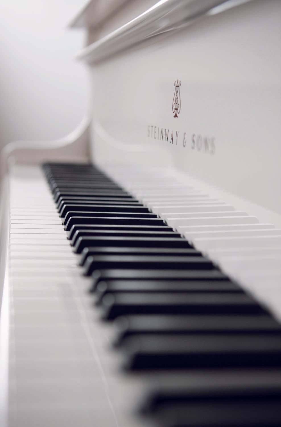 A macro shot of the keyboard and logo on the white Steinway & Sons grand piano, reflecting its sophisticated design.