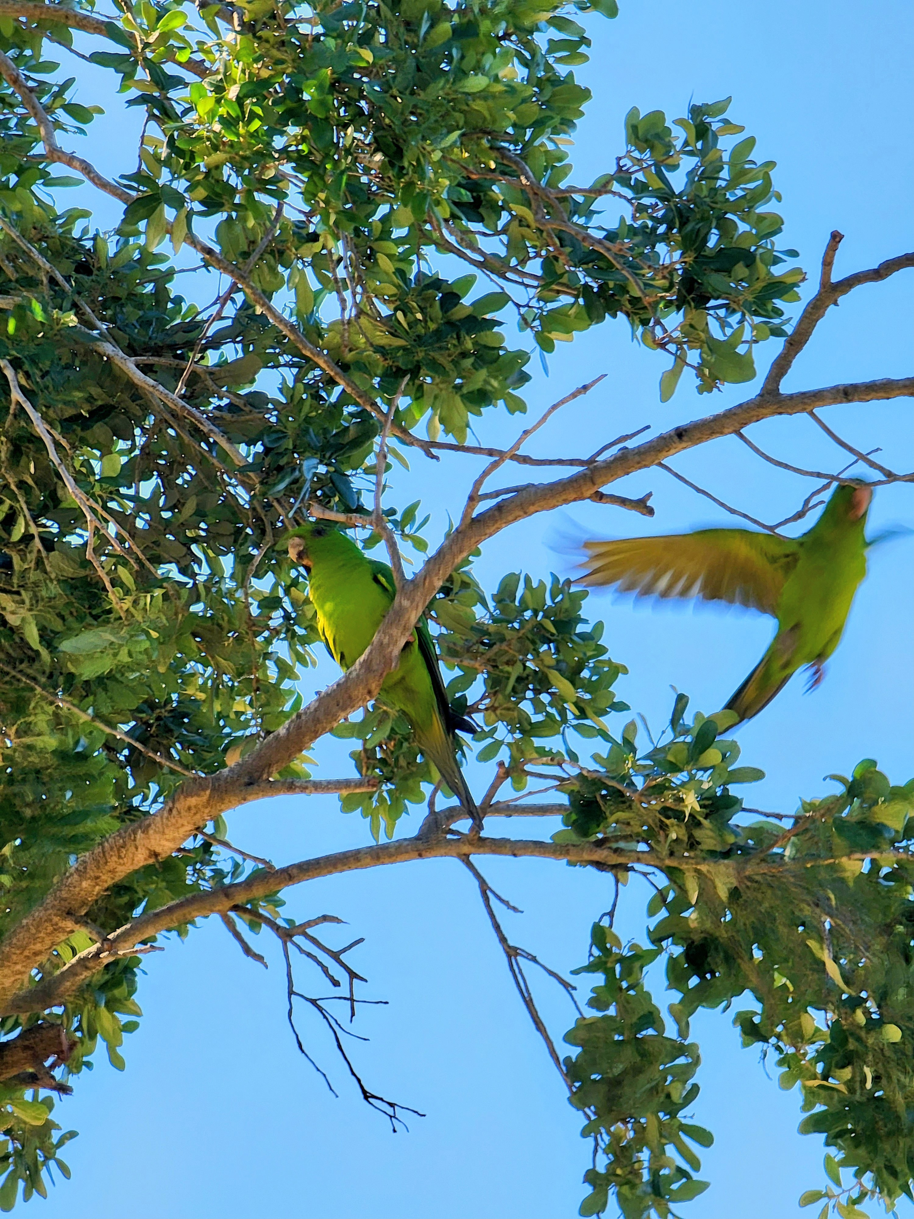 two people in kayaks paddling on the water