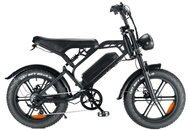 Fatbike V20