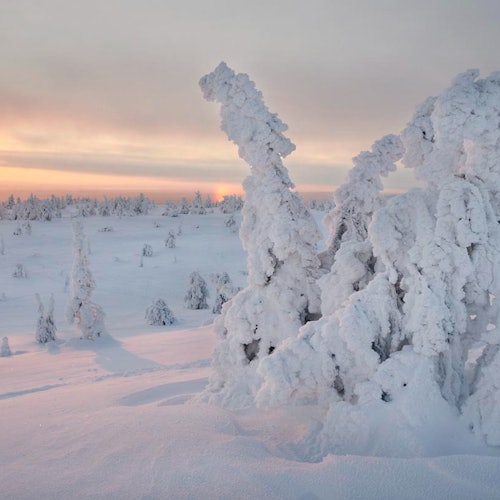 Riisitunturi National Park
