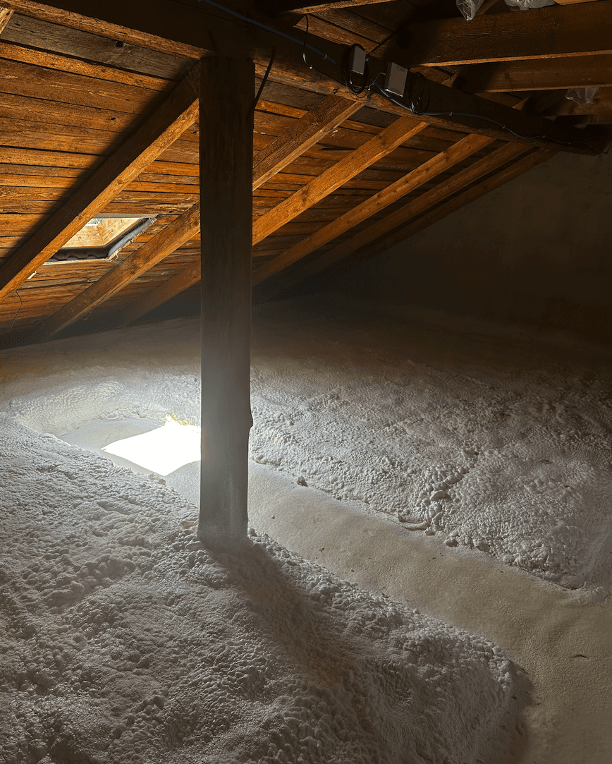 Close-up of a dark green leaf showing its textured surface and central vein against a muted background.