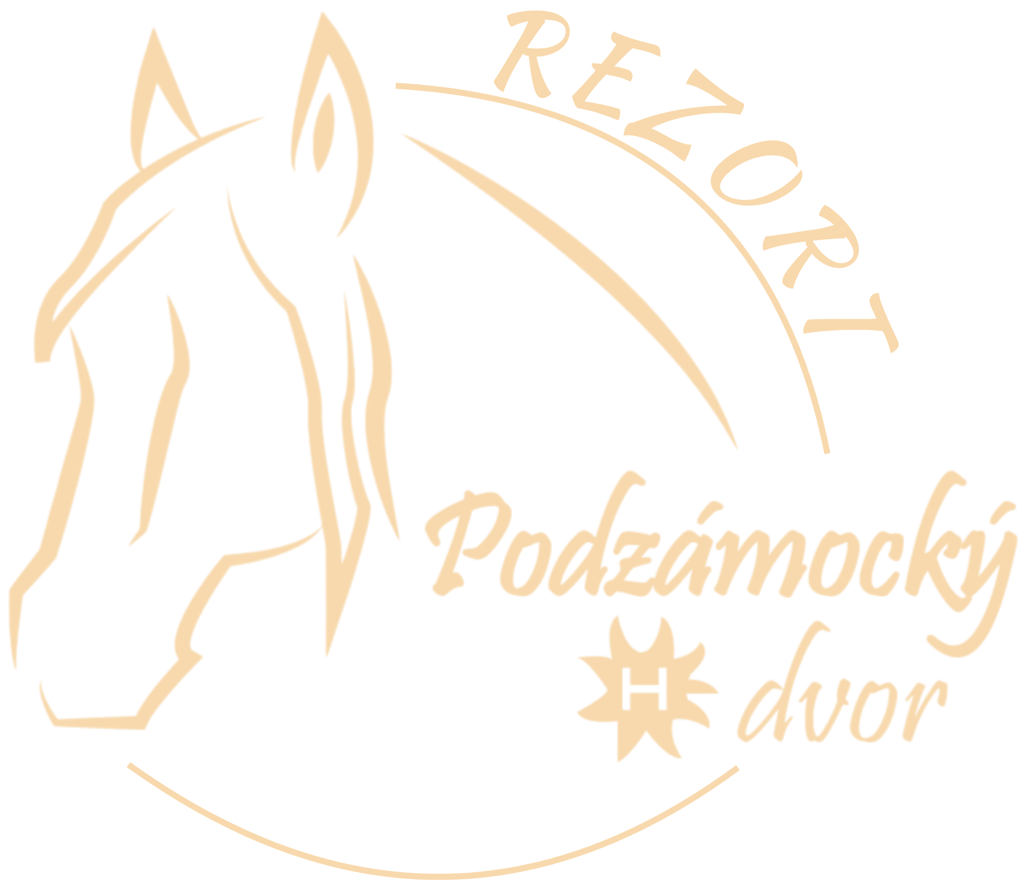 Logo Company