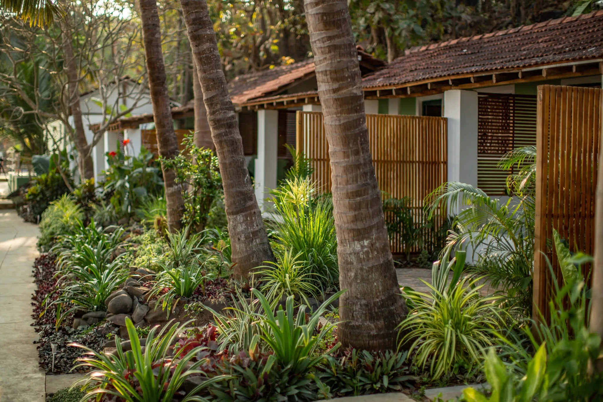 Garden huts tucked among the palms at Casa Jaali