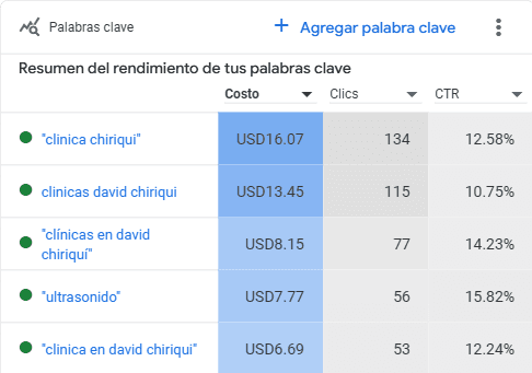 Resultados de palabras clave en Google Ads para el Centro Médico Castillo — términos como ‘clínica Chiriquí’ y ‘ultrasonido’ con CTR de hasta 15.82%, seleccionadas por Fresa Marketing para maximizar tráfico y conversiones locales en Panamá