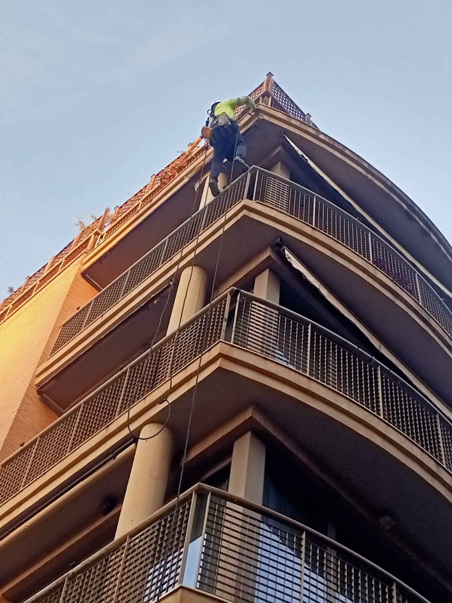 modern open lounge with palm trees outside