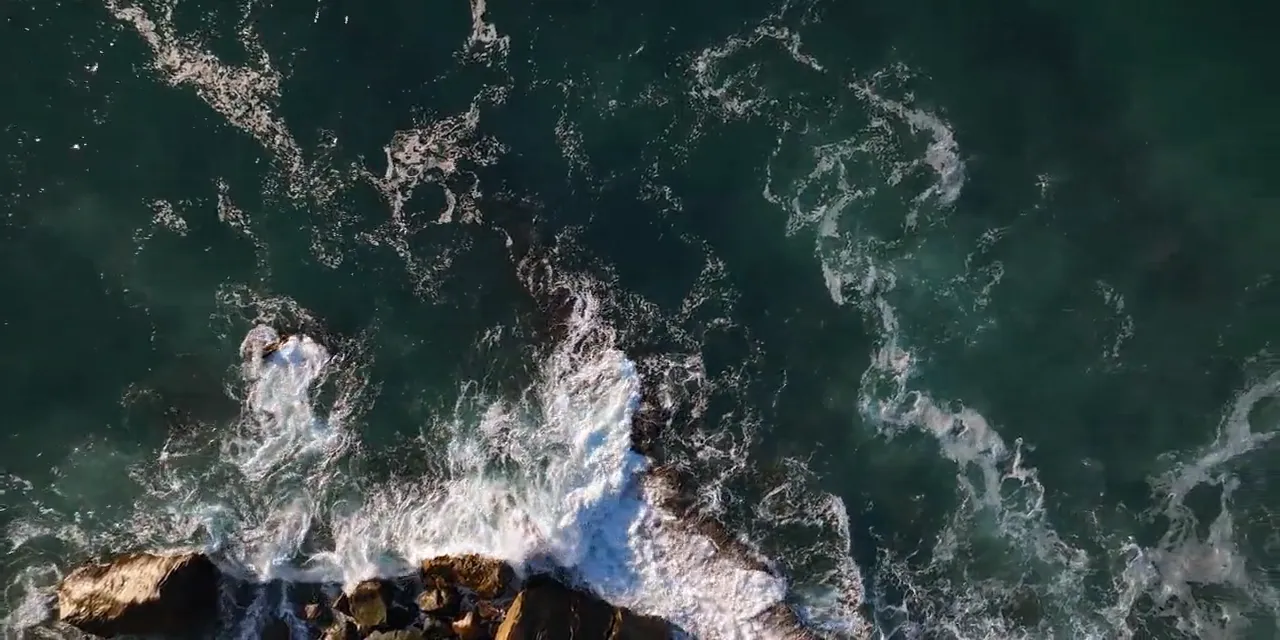 Frame from Low Tide