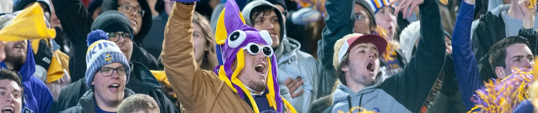 fans celebrating at baseball game