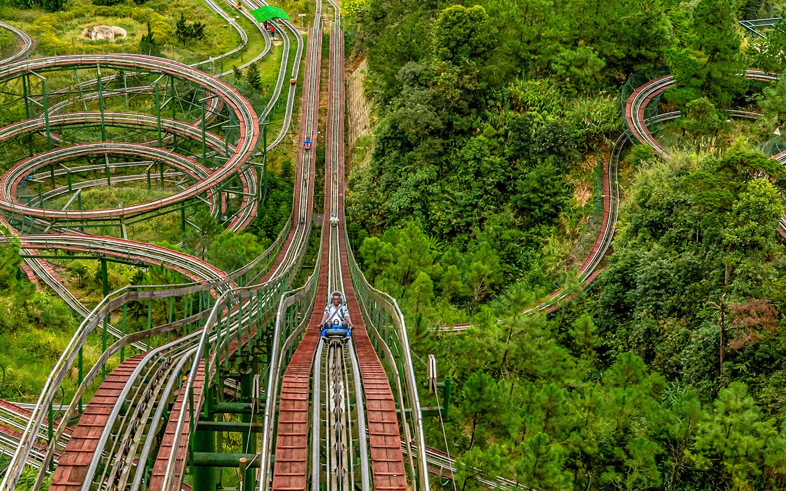 Alpine Coaster winding through lush forest at Ba Na Hills, Da Nang, Vietnam.