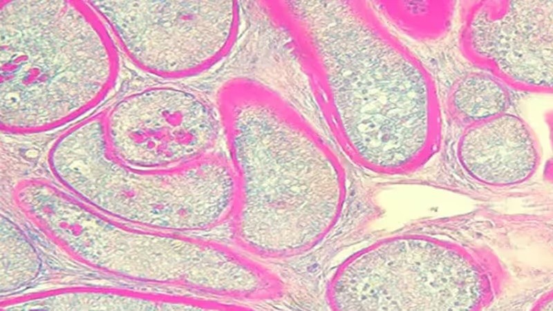 red heart balloon in tilt shift lens