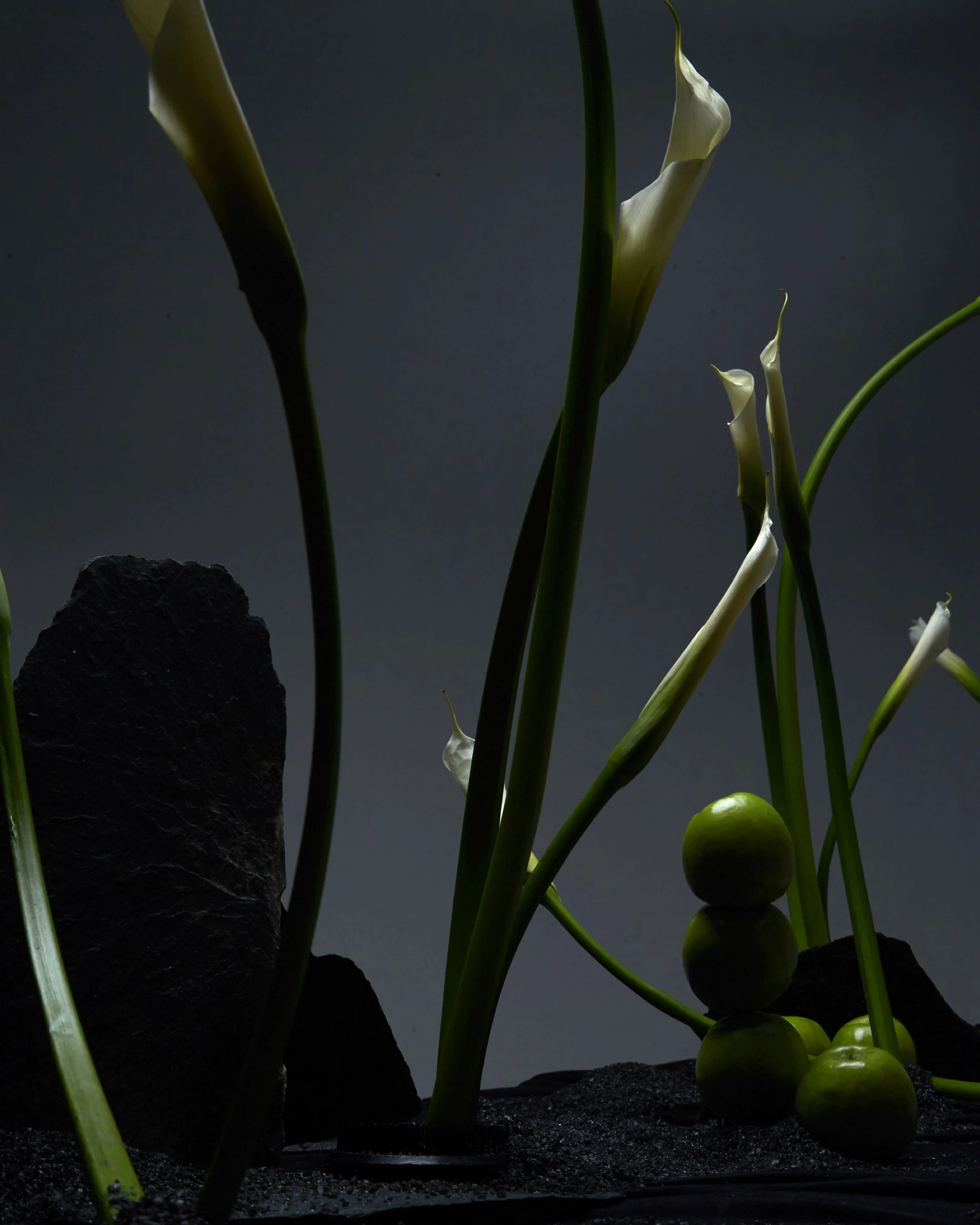 Detalle de manzanas verdes apiladas junto a calas blancas y rocas de pizarra negra.