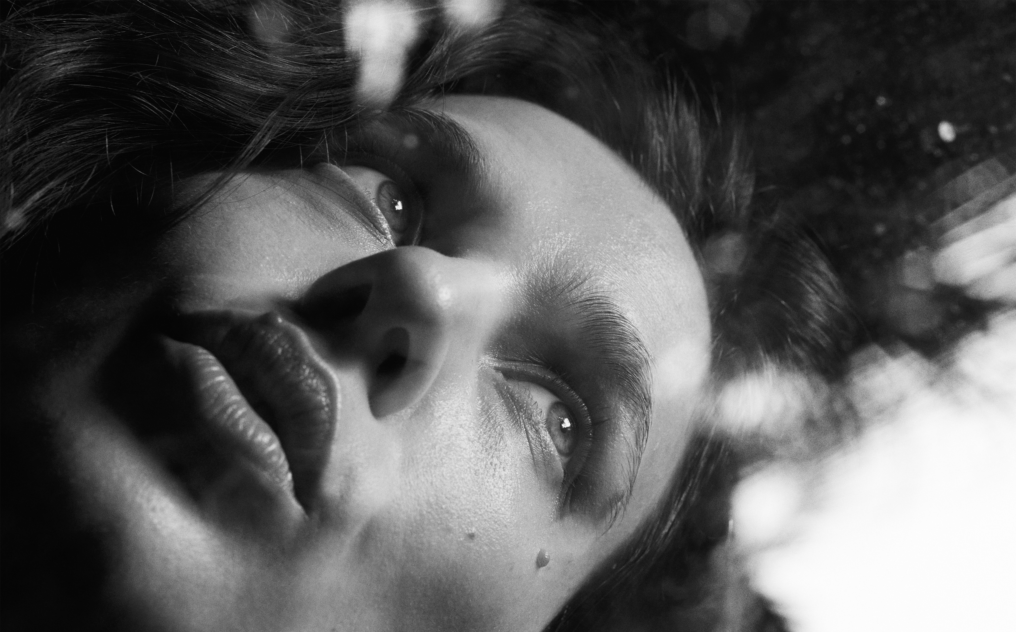 Dom Pérignon vineyards from the sky