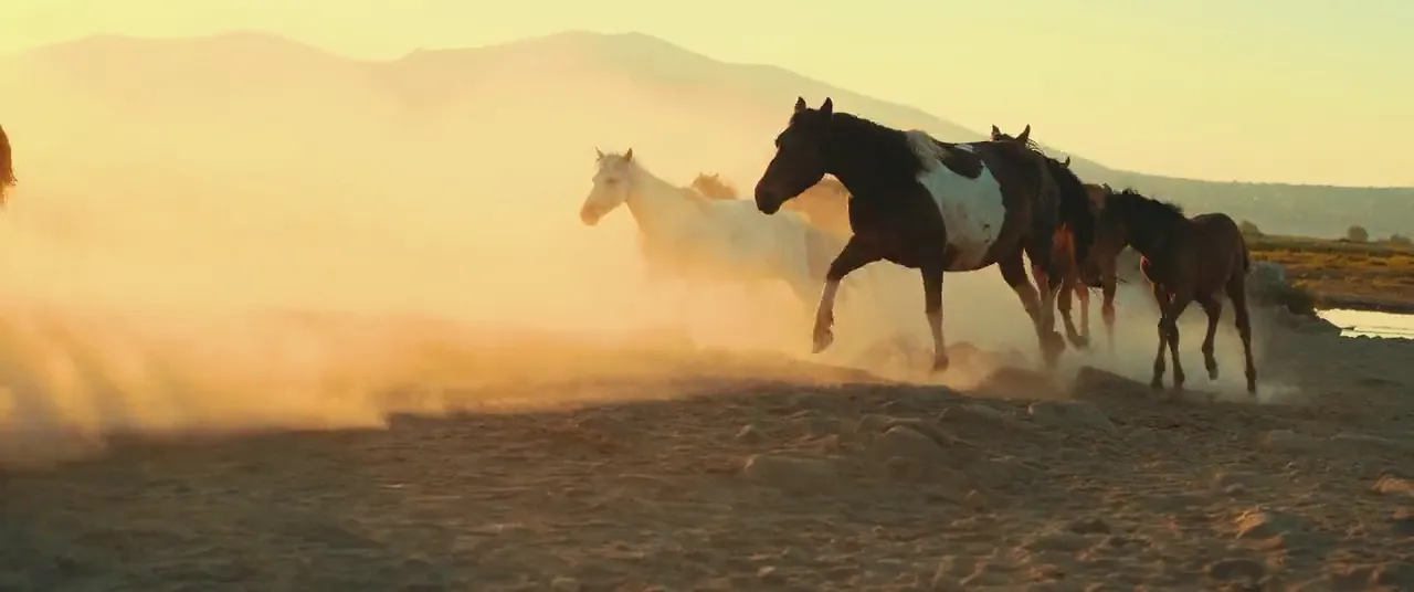 Frame from Dust Season