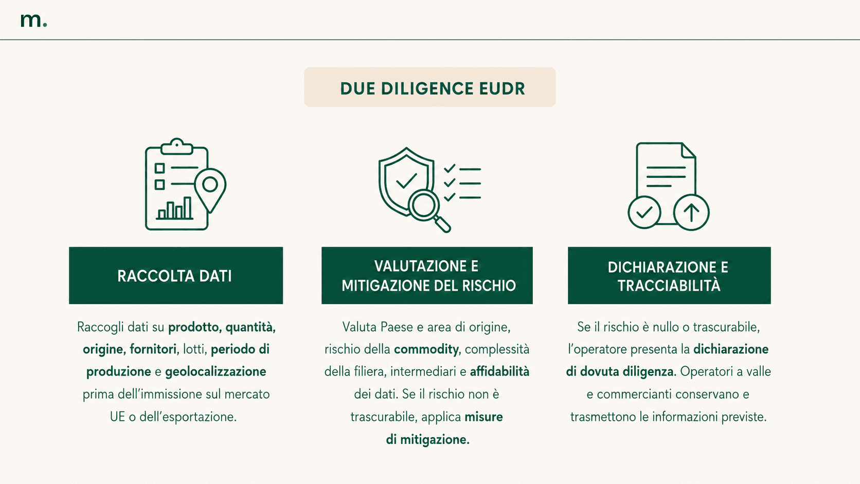 Infografica sulle tre fasi della due diligence EUDR: raccolta dati, valutazione e mitigazione del rischio, dichiarazione e tracciabilità.
