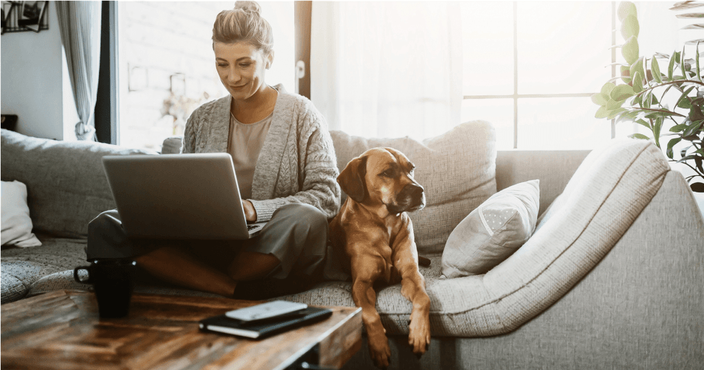 Woman on sofa with her dog using laptop to find lawyer