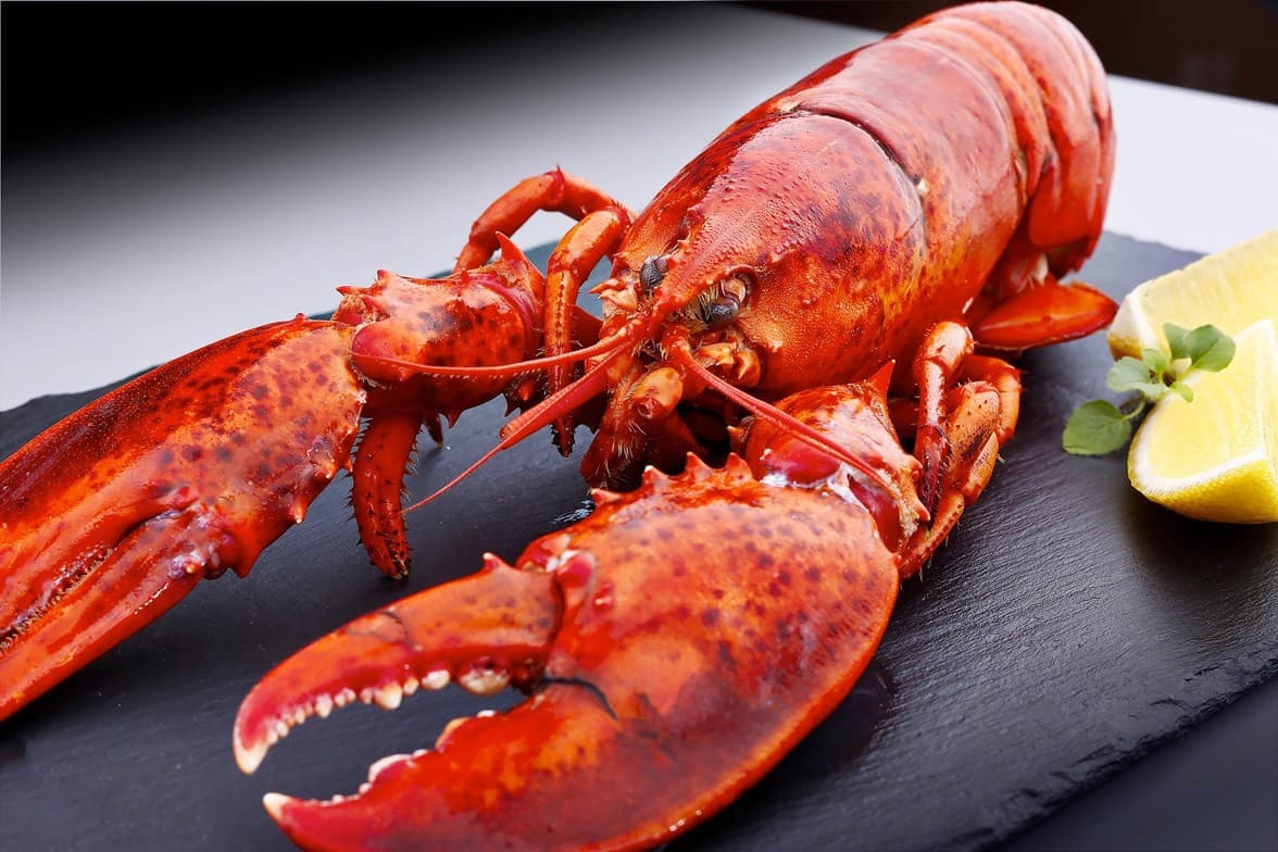 Product photography – red lobster served on a black slate board with lemon wedge, minimalist food styling and precise studio lighting.