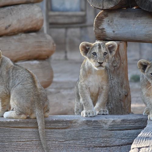 Terra Natura Murcia: Entry Tickets in Murcia