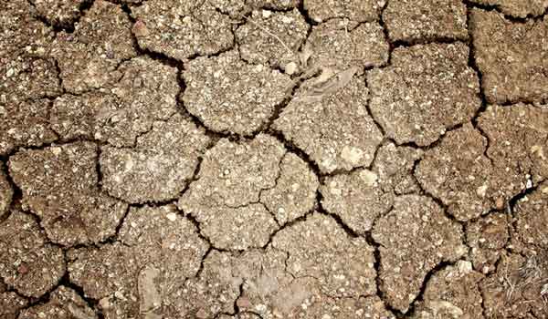 holding soil in hand