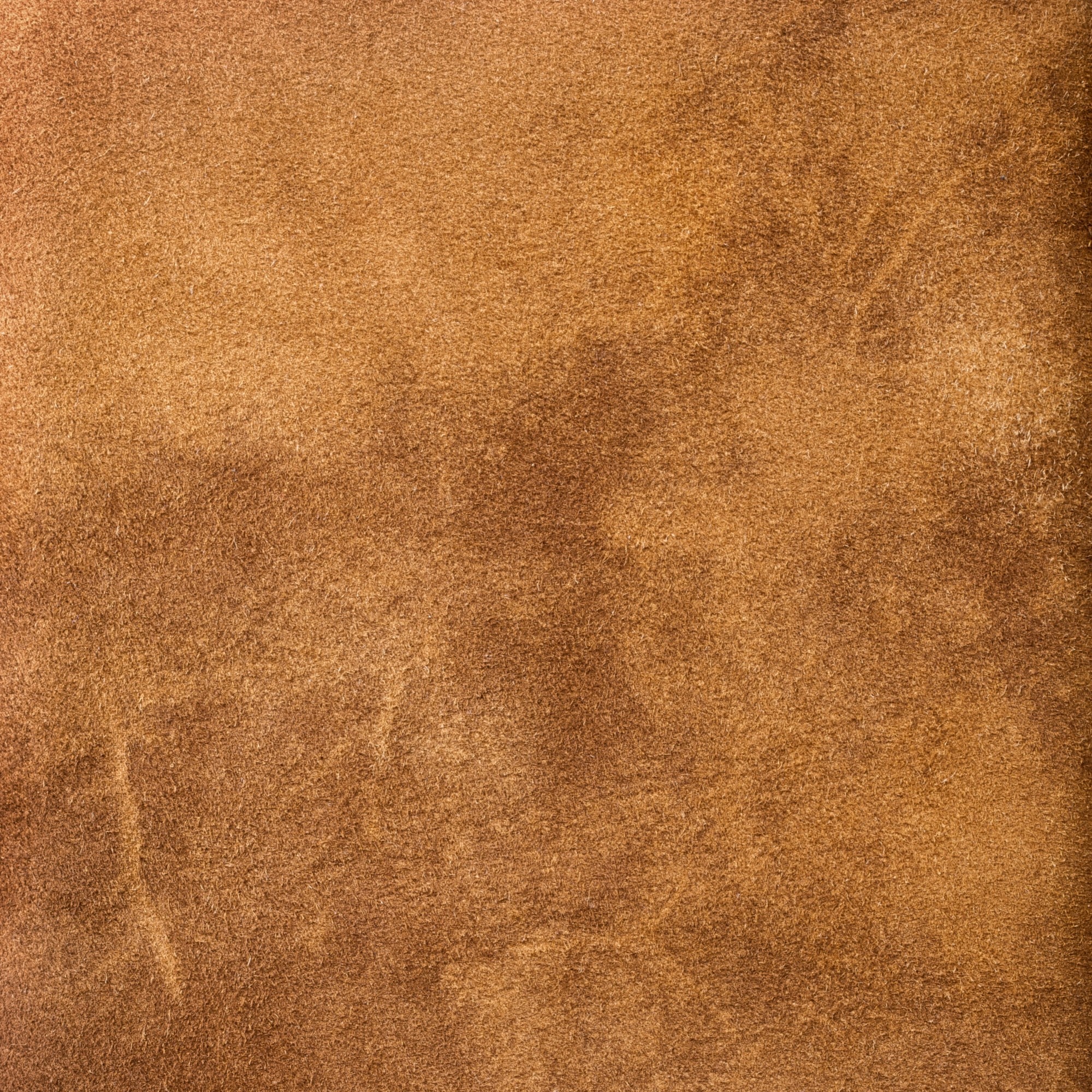 Aged leather background with a stitched border and brass studs