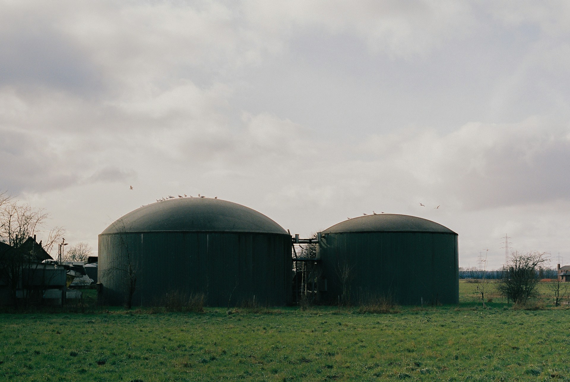 Biogas Plant