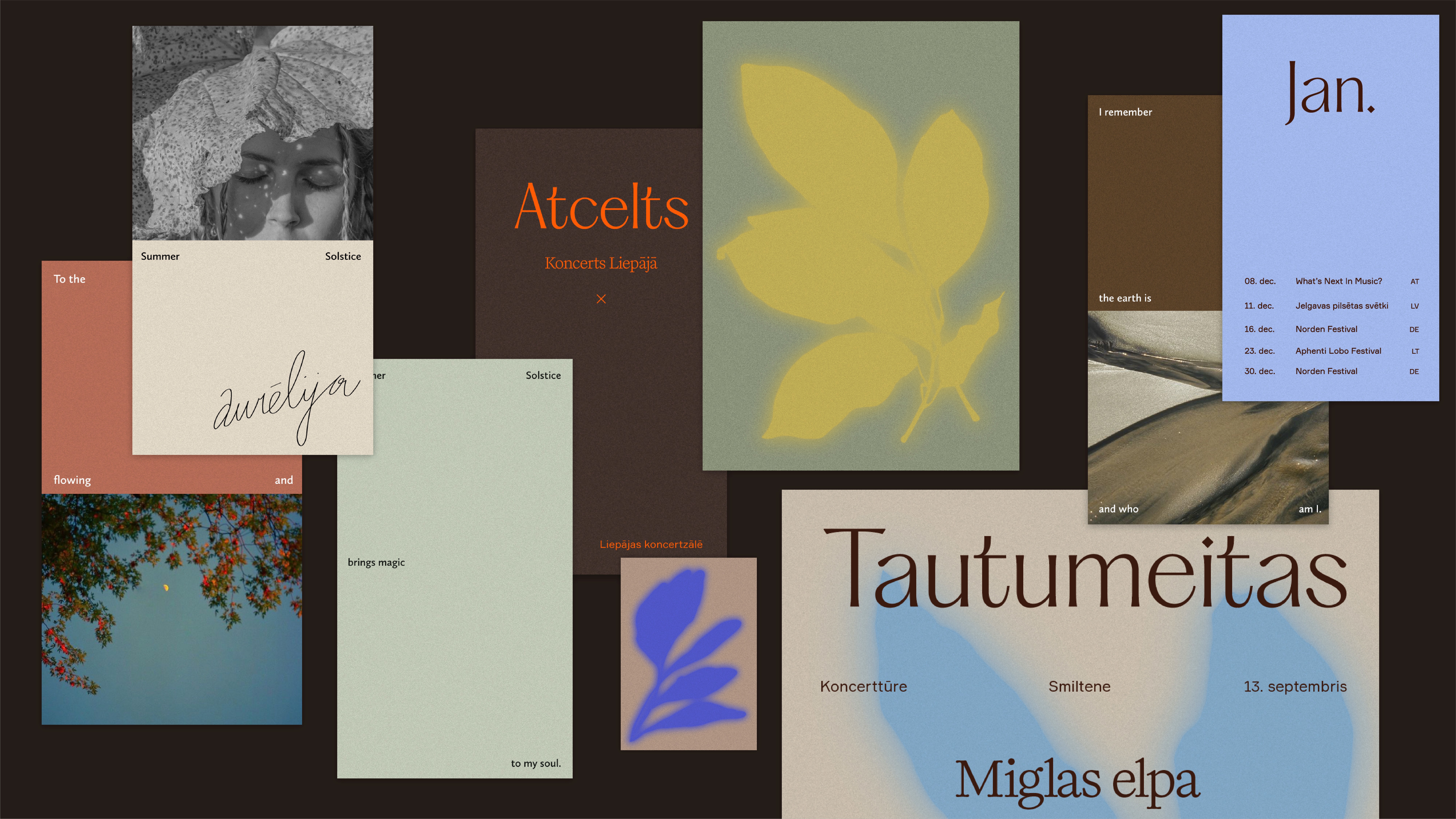 Tautumeitas identity layout with posters, cards and typography