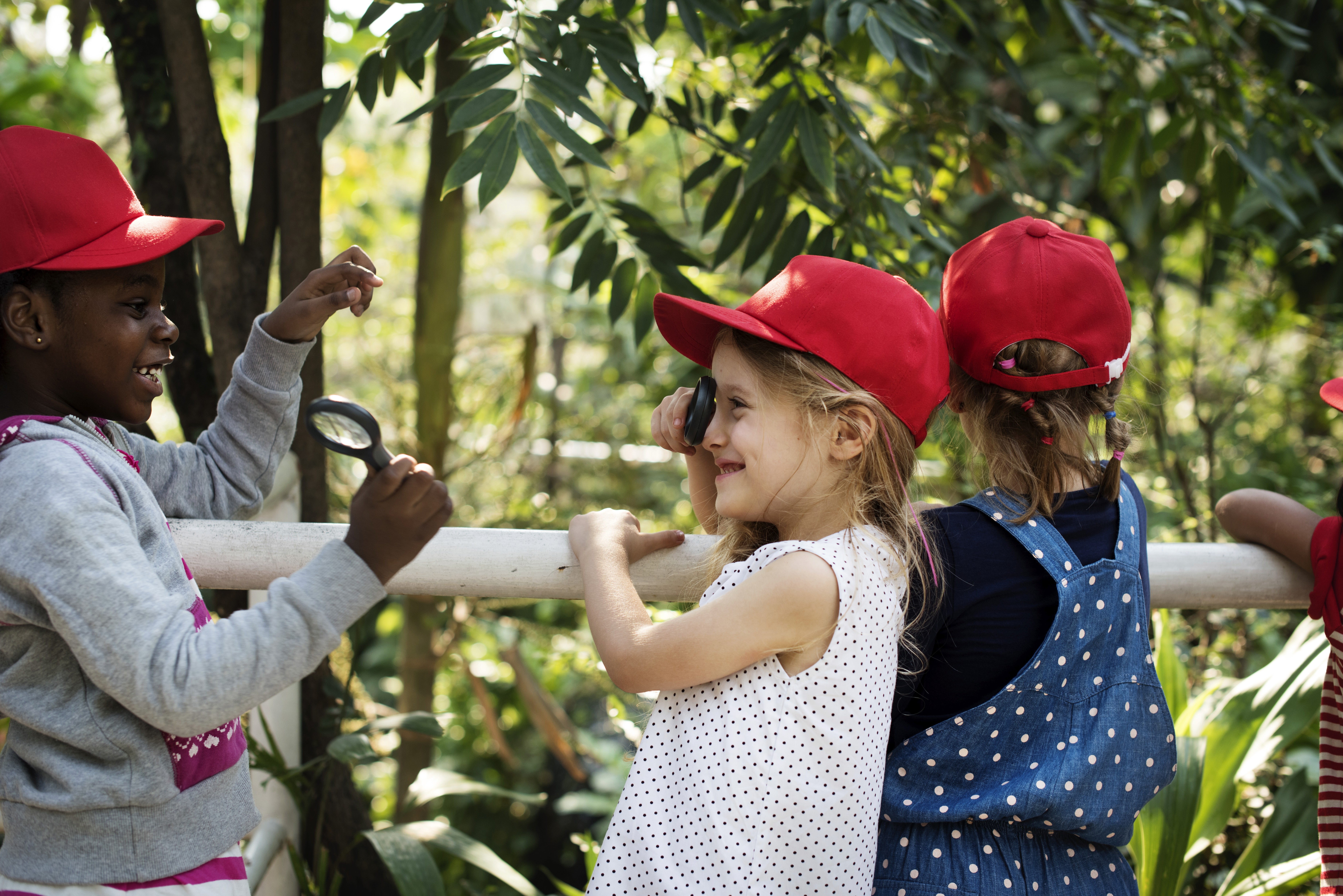 Group of men surfing