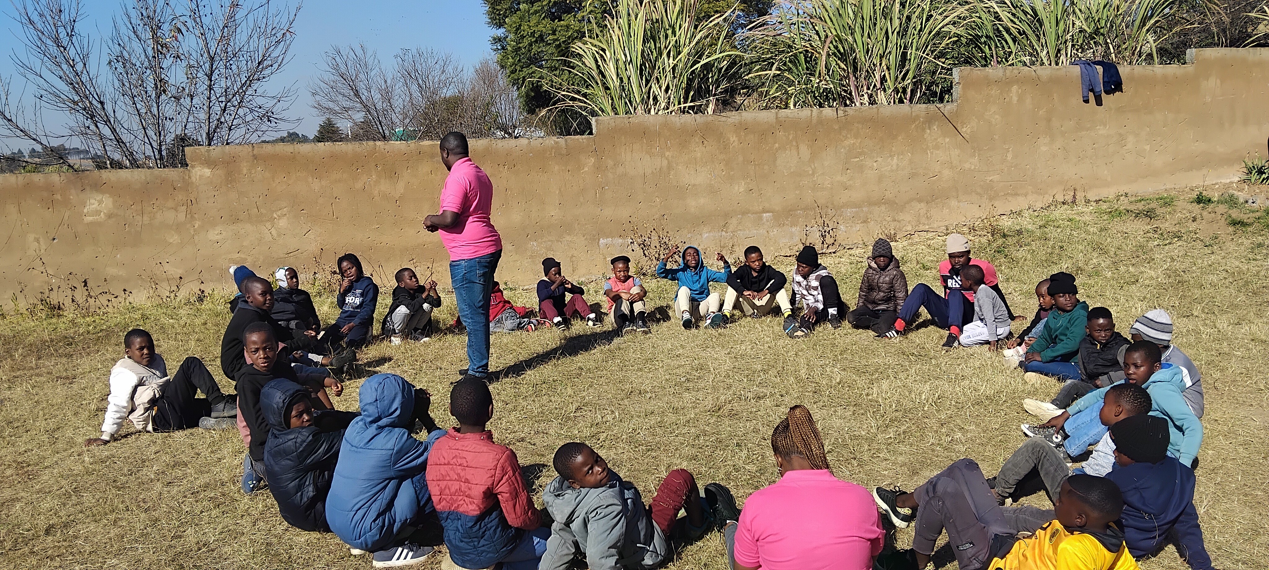 Close-up of evergreen foliage, showcasing vibrant green needles densely packed together.