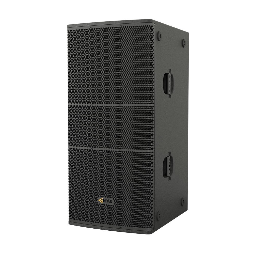 Black two-way professional speaker with mesh grille