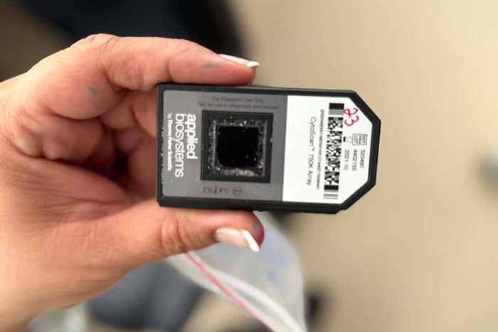 The genetic chip test in Prof. Idit Maya’s lab at Rabin Medical Center, Aug. 6, 2025. Photo courtesy of Howard Blas