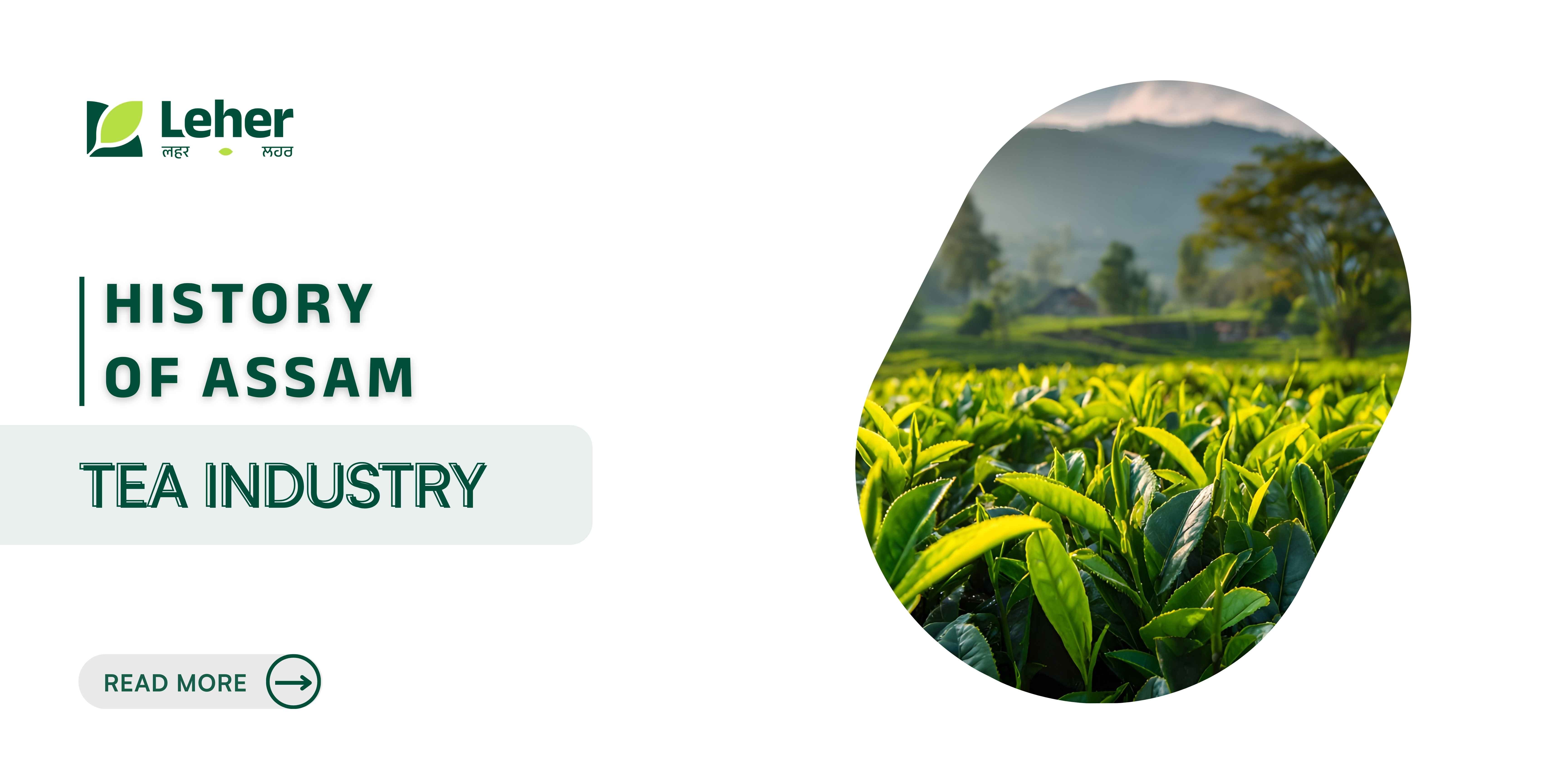 History of Assam Tea Industry