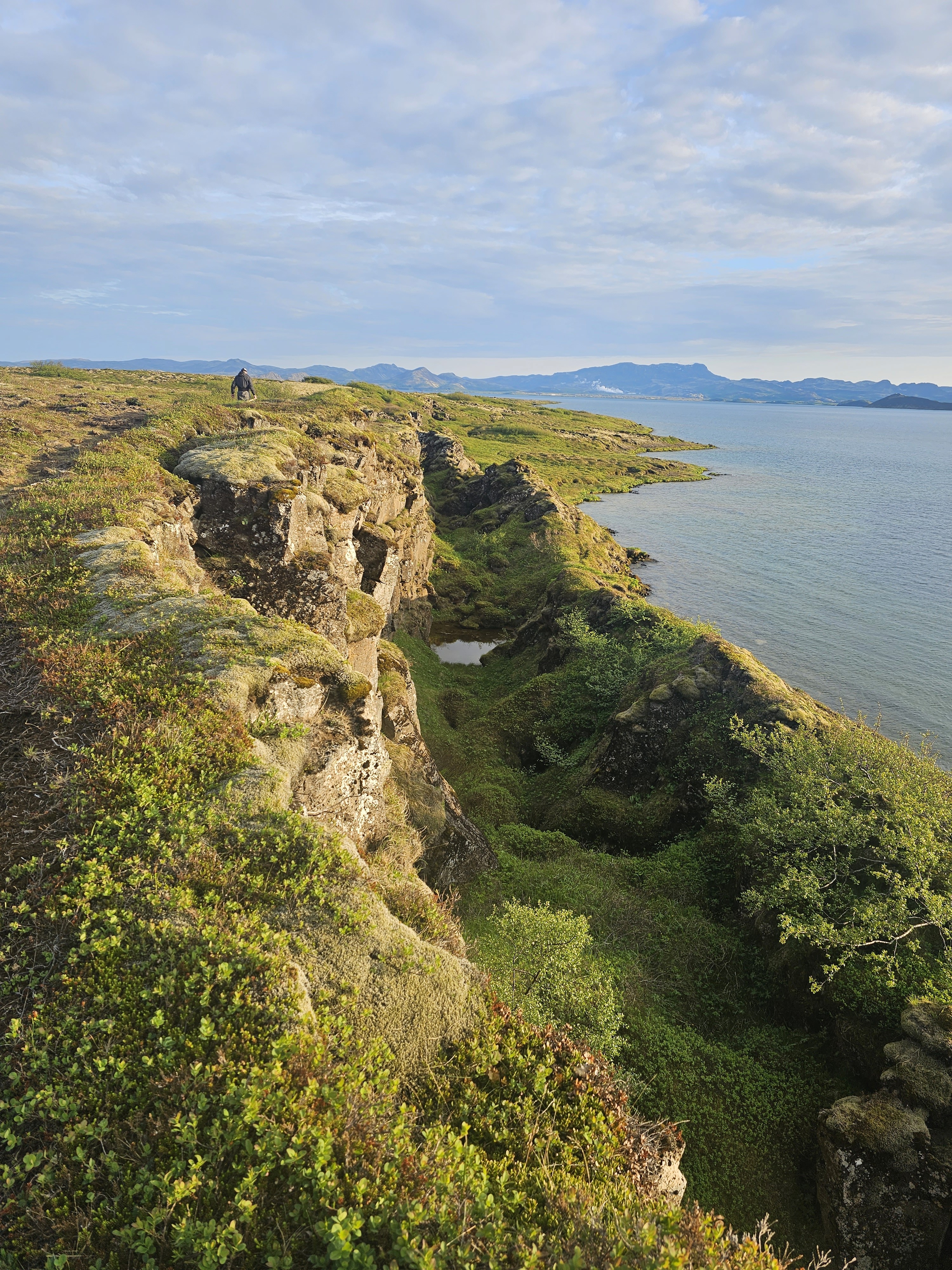 Island, Brown Trout, Arctic char, fjeldørred