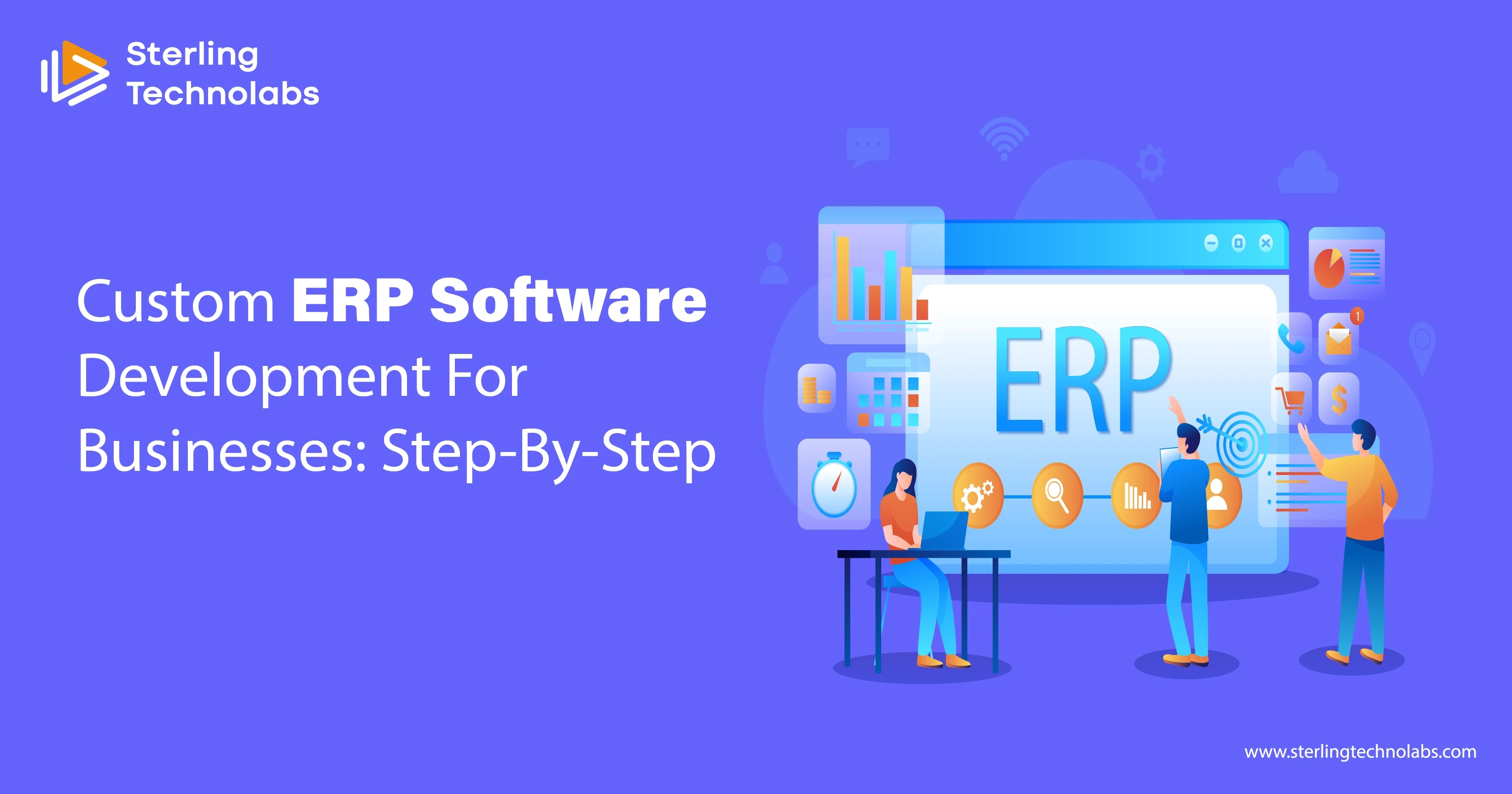 Custom ERP Software Development