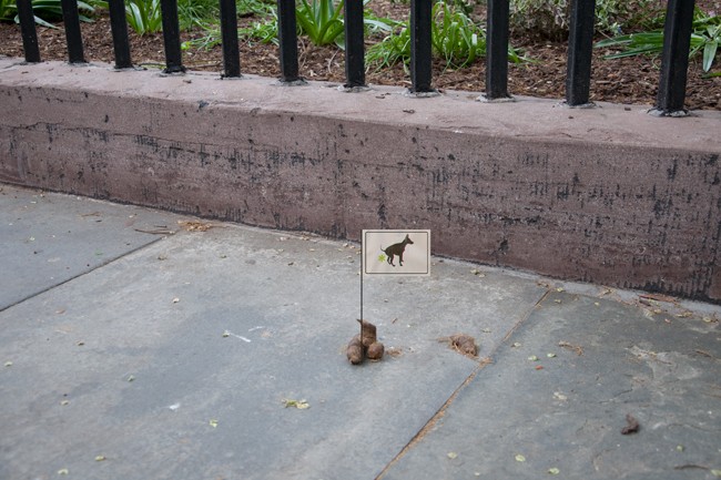 A small sign with a black dog silhouette is stuck in the ground on a gray concrete sidewalk. The sign is positioned near a black metal fence that runs along the edge of the sidewalk. Behind the fence, patches of green plants are visible along the ground.