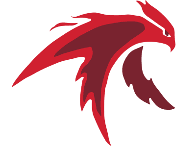 A TeamLinkt Sports League Partner Logo