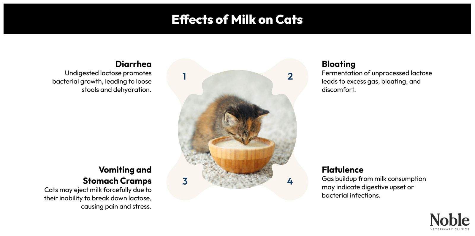 Effects of Milk for Cats