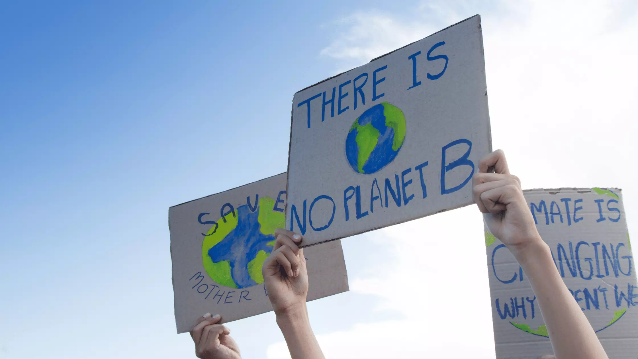 What COP 27 means for real estate and NetZero, image