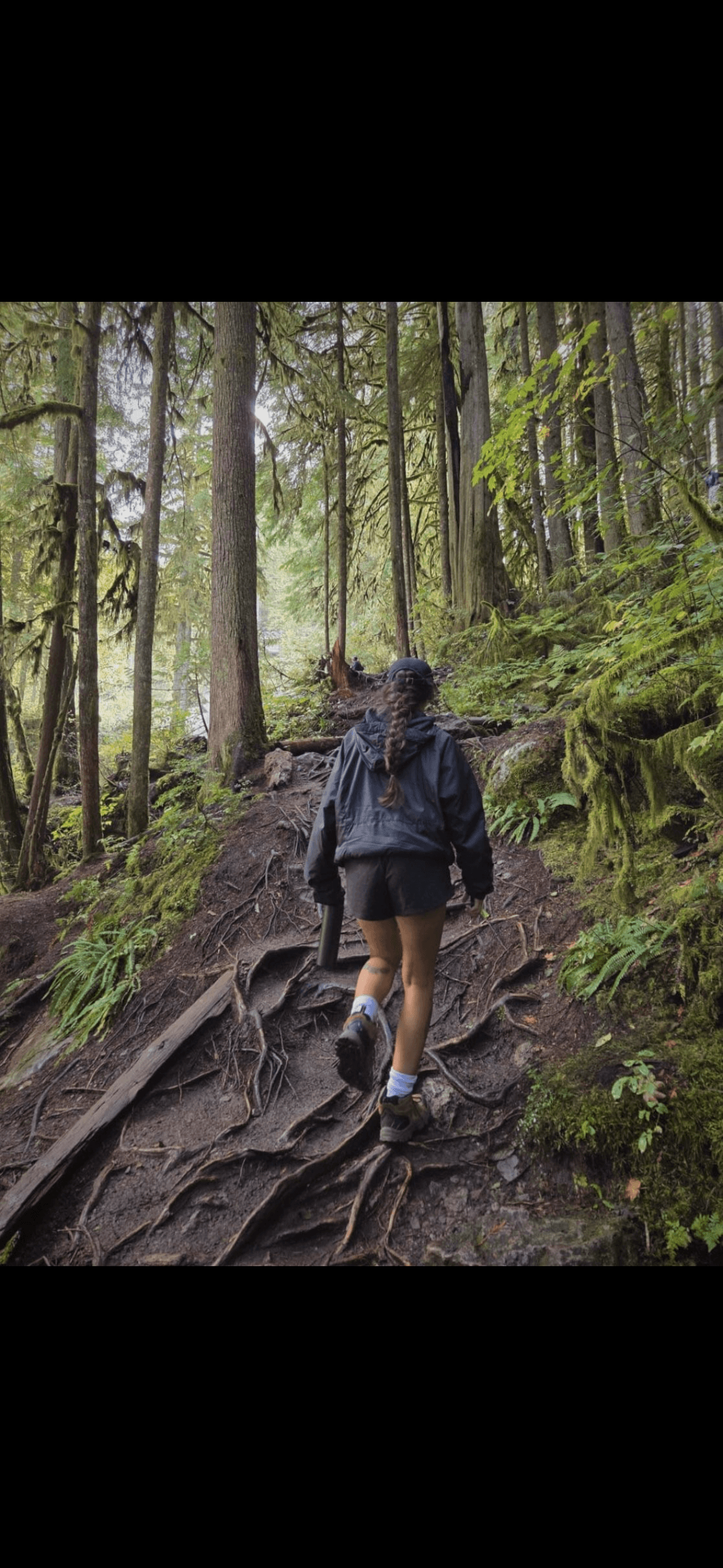 Symmetrical abstract pattern of dark, curved shapes.