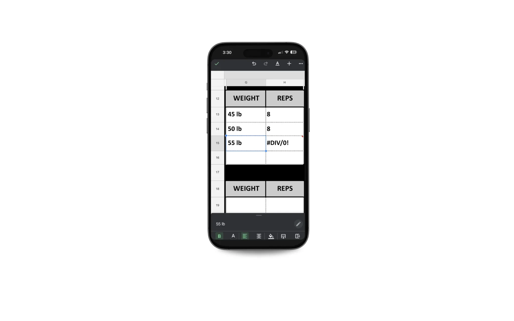 personal training spreadsheet on mobile