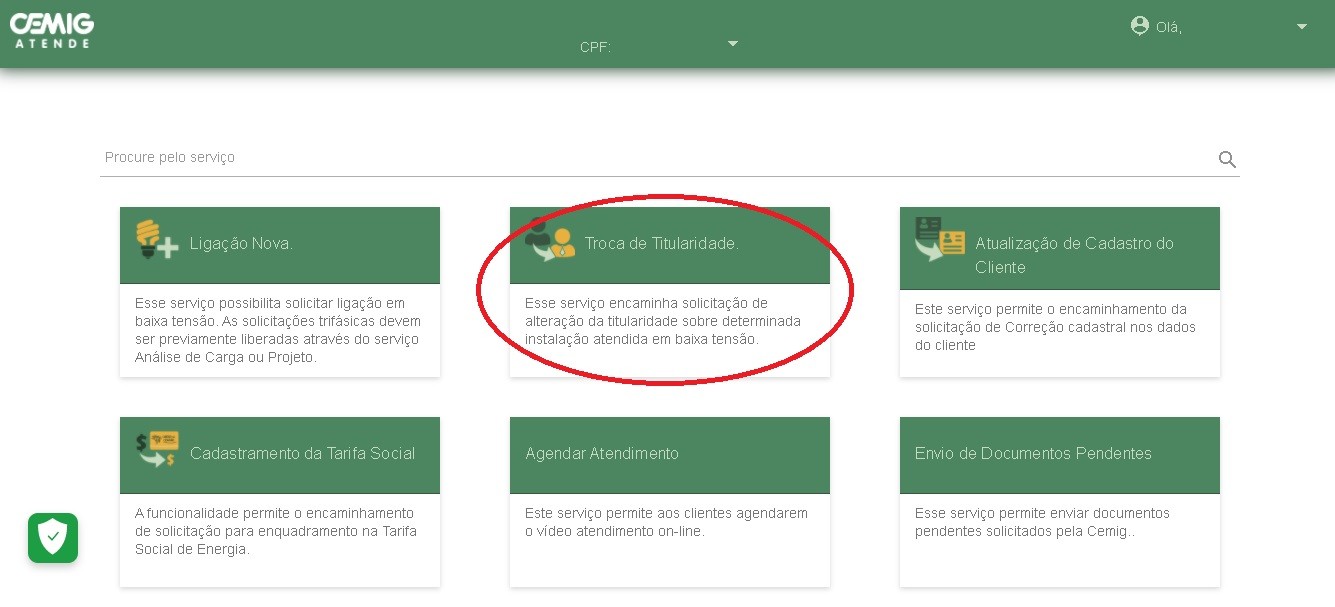 seleção troca titularidade cemig