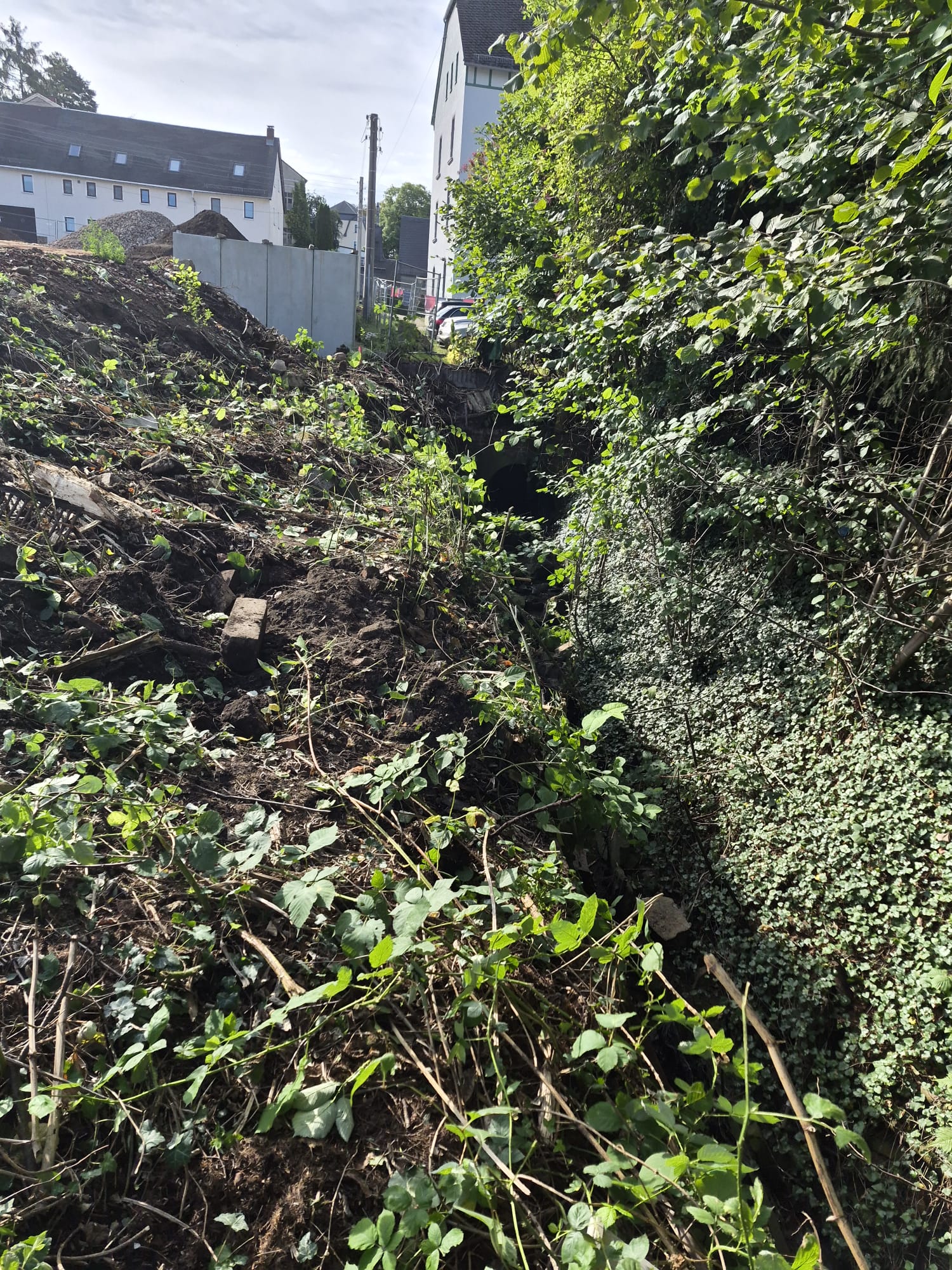 Beginn der Stützmauer Nord