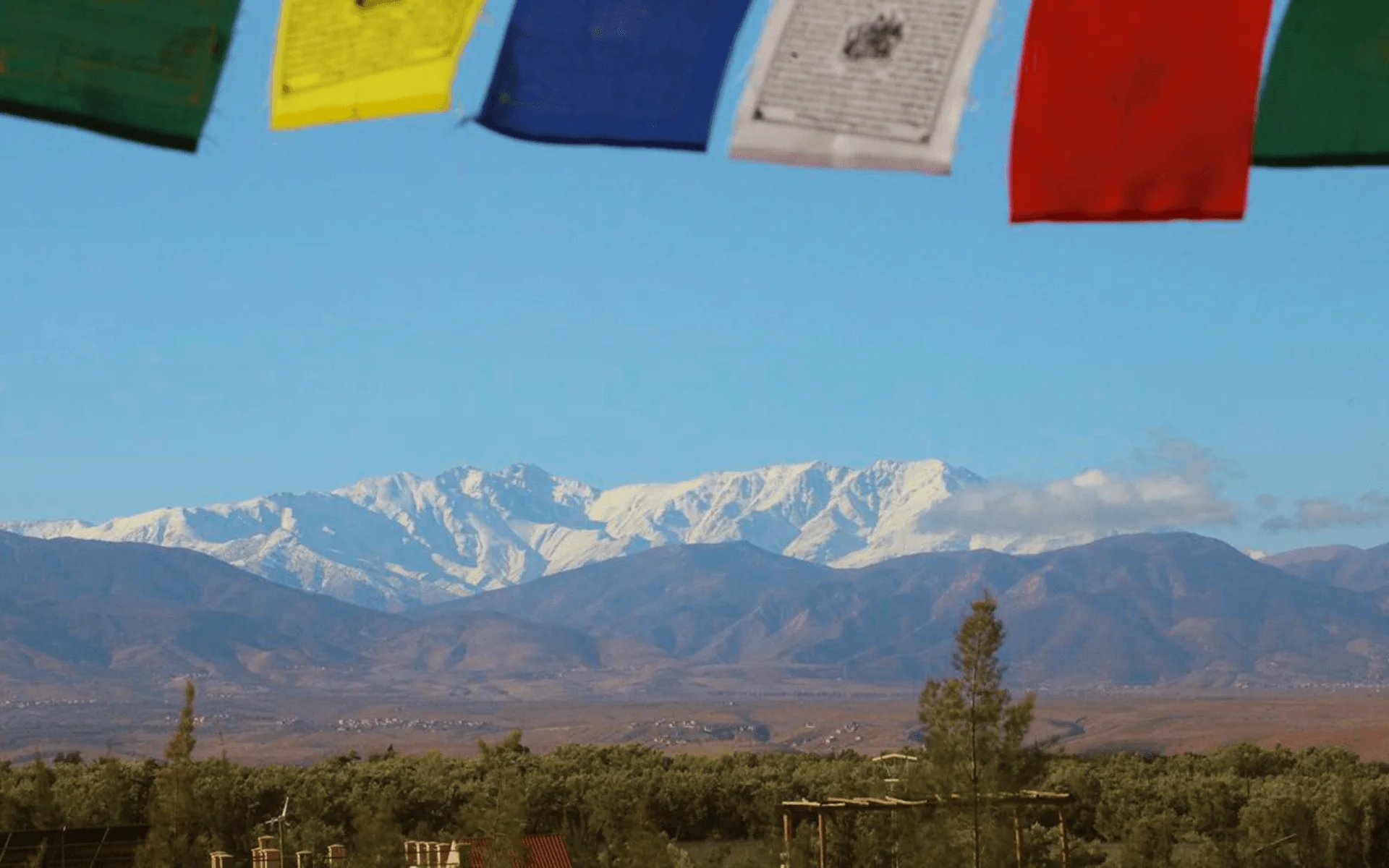 Woman standing on the balcony