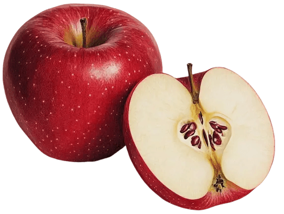 EIn Roter apfel aufgeschnitten