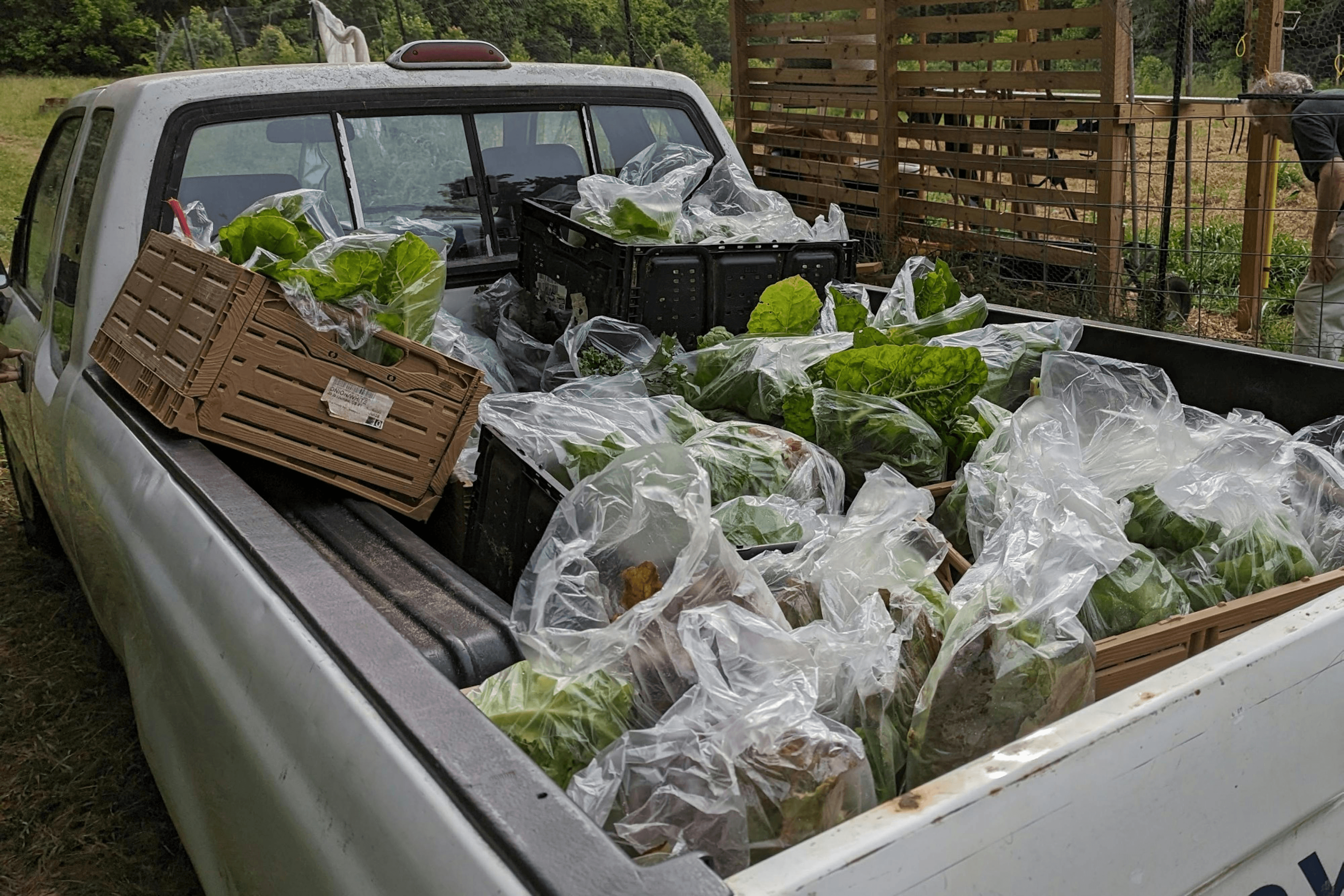 Truck filled with fresh farm produce