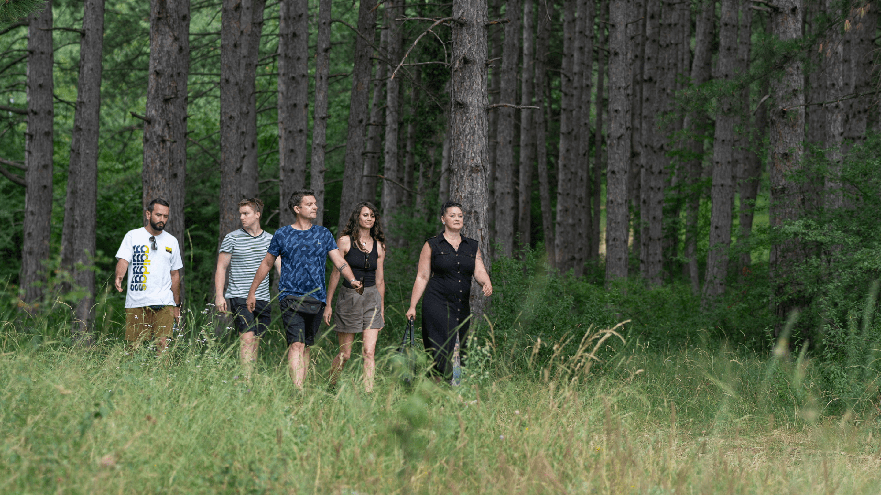 foggy mountain summit