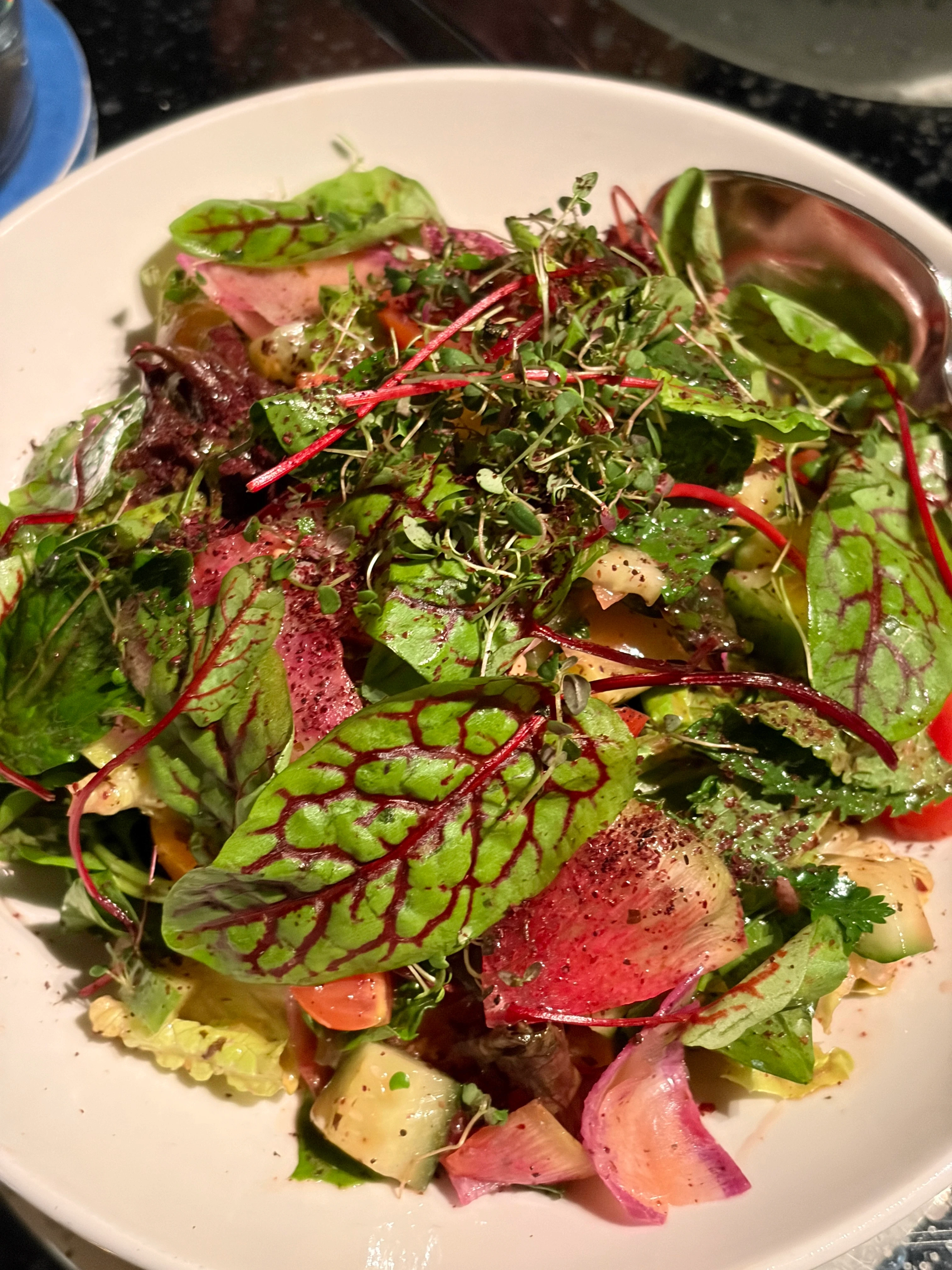 ilili restaurant dinner fattoush salad on a white plate
