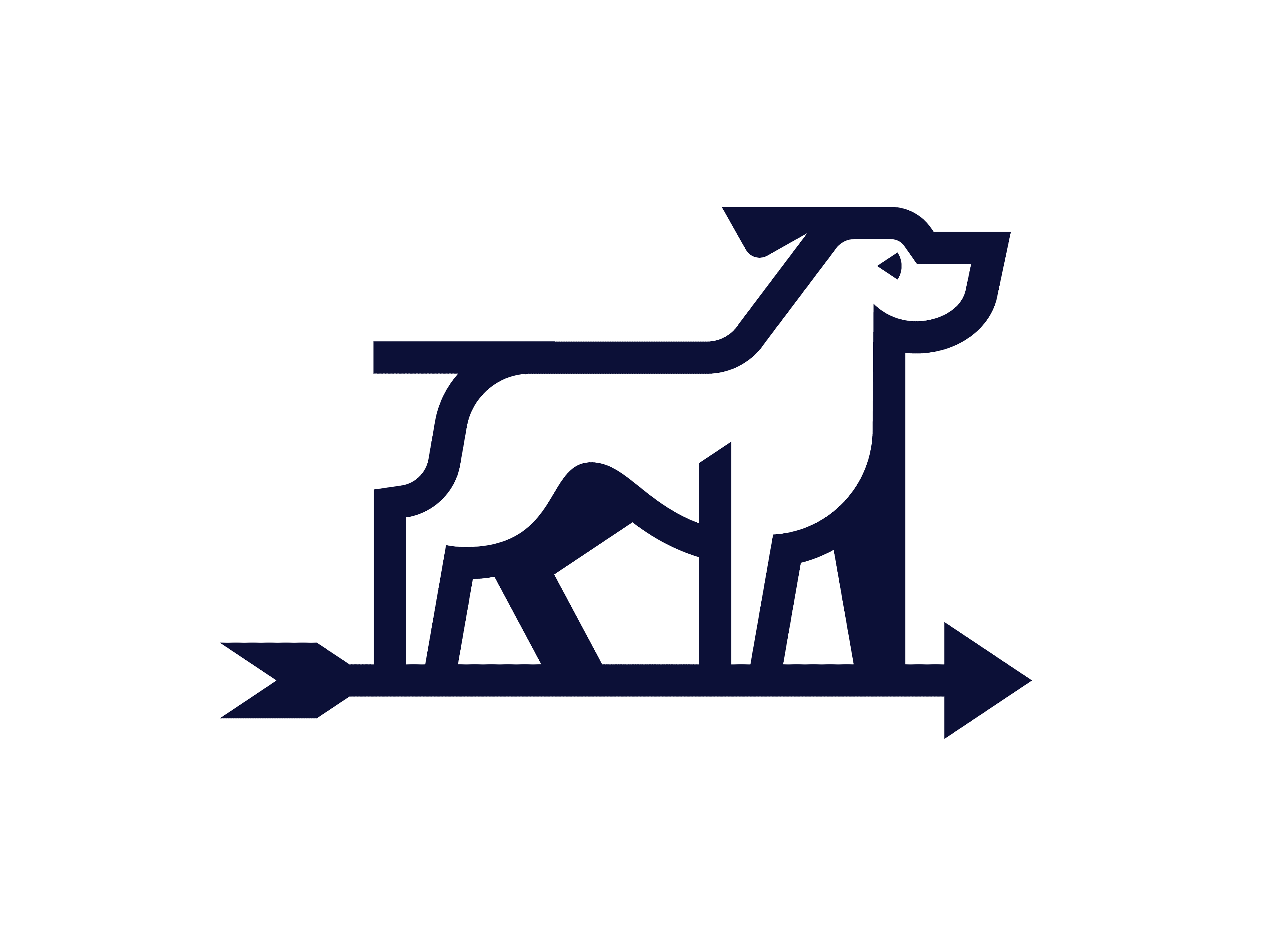 BirdDog