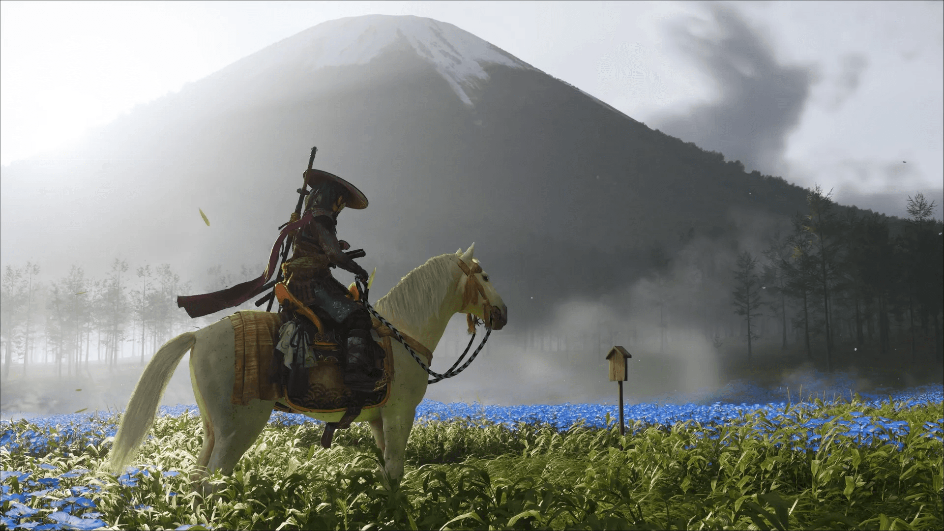 Ghost of Yōtei cash flow, Sony free cash flow, Sony operating cash flow, Ghost of Yōtei sales, PS5 Yōtei bundle revenue, Sony investment choices, Sony capital expenditures, Sony cash flow 2025, Ghost of Yōtei revenue, Sony financials cash flow, PlayStation revenue streams, Sony cash flow analysis, Yōtei digital sales, Sony free cash flow target, Sony repurchase program, Sony stock analysis, Sony shareholders 2025, Sony major holders, Sony institutional investors, Sony ownership breakdown, Sony financial growth, Sony stock performance, Sony gaming revenue, Sony market share, Sony investor relations, Sony investment analysis, Sony share price today, Sony stock trends, Sony financial report 2025, Sony stock history, Sony Group Corporation stock, Sony global investors, Sony gaming division performance, Ghost of Yōtei sales, Ghost of Tsushima stock impact, Ghost of Yōtei PS5 edition, Sony PS5 limited edition stocks, Sony Interactive Entertainment revenue, Sony gaming business, Sony stock chart analysis, Sony mutual fund investors, Sony top institutional holders, Vanguard Sony shares, BlackRock Sony investment, Sony market capitalization, Sony financial growth chart, Sony profit analysis, Sony gaming stock rise, Sony foreign ownership, Sony Japanese investors, Sony shareholding pattern, Sony investment funds, Sony stock forecast 2025, Sony share price growth, Sony company valuation, Sony stockholders breakdown, Sony ETF investors, Sony dividend updates, Sony stock increase after Ghost of Yōtei, Sony financial results Q3 2025, Sony stock highest closing value, Sony PlayStation market impact, Sony business growth 2025, Sony PS5 market analysis, Ghost of Yōtei financial impact, Sony entertainment stock, Sony gaming stock report, Sony long term investors, Sony stock comparison 2020 vs 2025, Sony global shareholding report, Sony game releases and stock movement, Sony gaming hardware profits, Sony investor confidence, Sony equity structure, Sony stock report Japan, Sony trading volume 2025, Sony major mutual fund holders, Sony asset management report, Sony financial insights, Sony global market performance, Sony game impact on shares, Sony foreign institutional investors, Sony stock ownership data, Sony corporate ownership 2025, Sony business growth trend, Sony gaming investment trends, Sony Interactive stock price, Sony group stockholders, Sony PS5 sales impact, Sony financial strength report