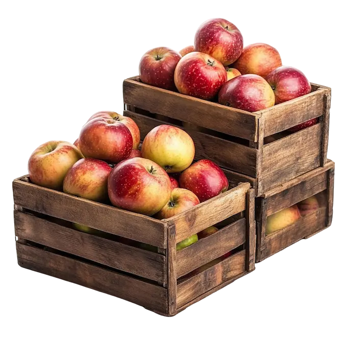 2 Große Kisten mit Äpfeln drin